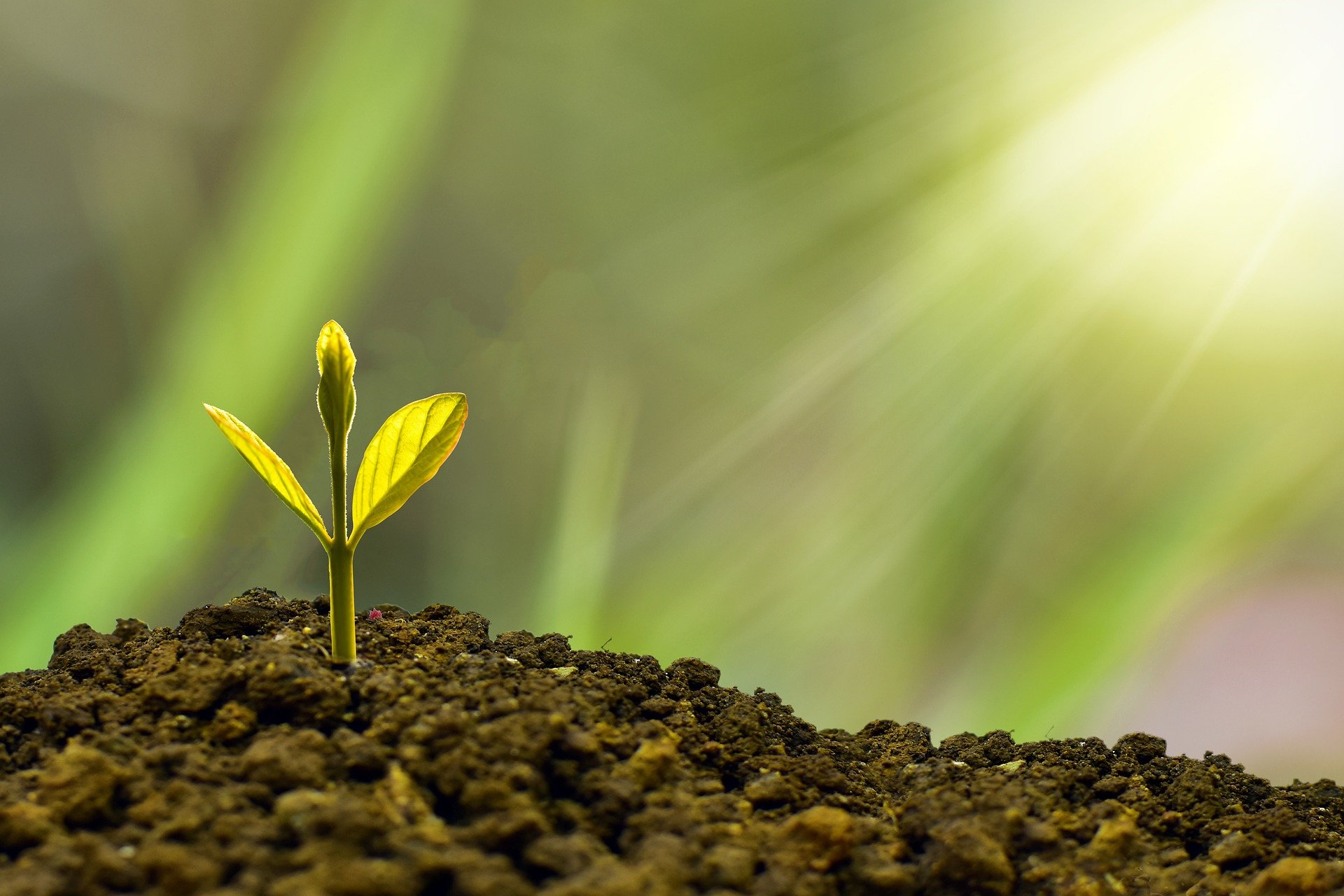 Portugal: Green Growth Commitment